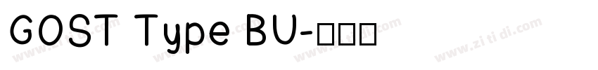 GOST Type BU字体转换